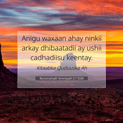 Picture 07 - Baroorashadii Yeremyaah 3:1 SOM - Anigu waxaan ahay ninkii arkay dhibaatadii ay - Bible Verse Picture