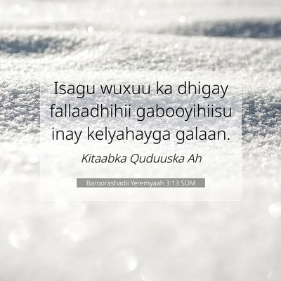 Picture 07 - Baroorashadii Yeremyaah 3:13 SOM - Isagu wuxuu ka dhigay fallaadhihii gabooyihiisu - Bible Verse Picture