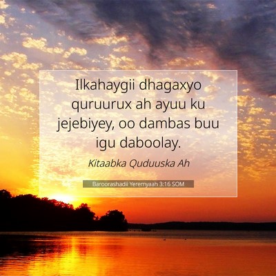 Picture 07 - Baroorashadii Yeremyaah 3:16 SOM - Ilkahaygii dhagaxyo quruurux ah ayuu ku - Bible Verse Picture