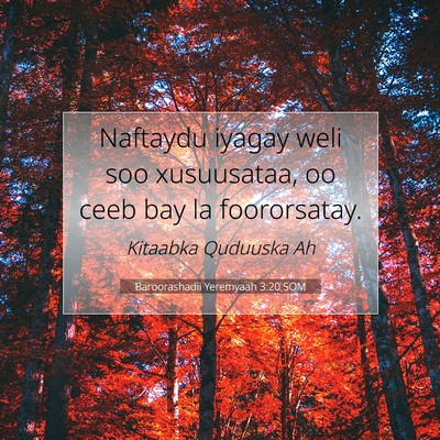 Picture 07 - Baroorashadii Yeremyaah 3:20 SOM - Naftaydu iyagay weli soo xusuusataa, oo ceeb bay - Bible Verse Picture