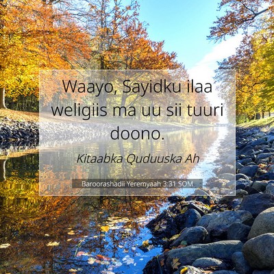 Picture 07 - Baroorashadii Yeremyaah 3:31 SOM - Waayo, Sayidku ilaa weligiis ma uu sii tuuri - Bible Verse Picture