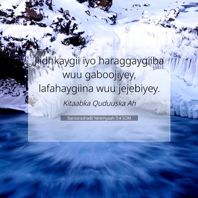 Picture 07 - Baroorashadii Yeremyaah 3:4 SOM - Jiidhkaygii iyo haraggaygiiba wuu gaboojiyey, - Bible Verse Picture