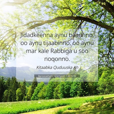 Picture 07 - Baroorashadii Yeremyaah 3:40 SOM - Jidadkeenna aynu baadhno, oo aynu tijaabinno, oo - Bible Verse Picture