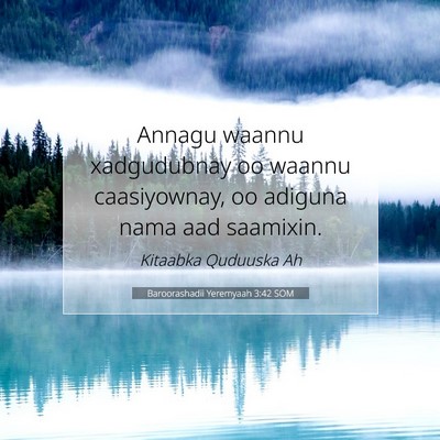 Picture 07 - Baroorashadii Yeremyaah 3:42 SOM - Annagu waannu xadgudubnay oo waannu caasiyownay, - Bible Verse Picture