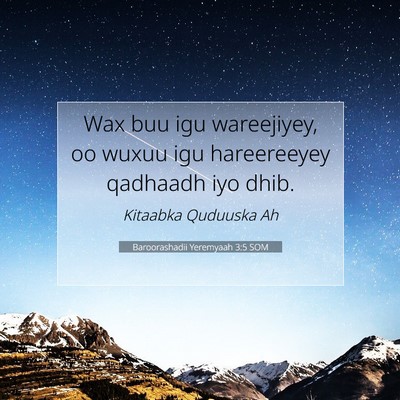 Picture 07 - Baroorashadii Yeremyaah 3:5 SOM - Wax buu igu wareejiyey, oo wuxuu igu hareereeyey - Bible Verse Picture
