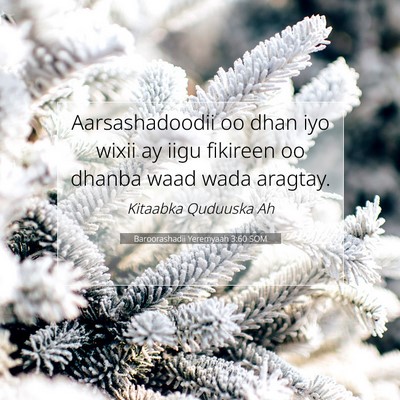Picture 07 - Baroorashadii Yeremyaah 3:60 SOM - Aarsashadoodii oo dhan iyo wixii ay iigu fikireen - Bible Verse Picture
