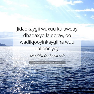 Picture 07 - Baroorashadii Yeremyaah 3:9 SOM - Jidadkaygii wuxuu ku awday dhagaxyo la qoray, oo - Bible Verse Picture