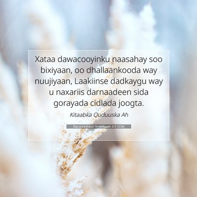 Picture 07 - Baroorashadii Yeremyaah 4:3 SOM - Xataa dawacooyinku naasahay soo bixiyaan, oo - Bible Verse Picture