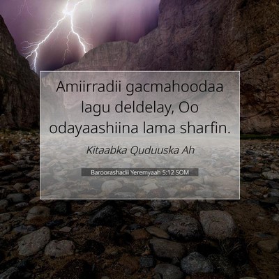 Picture 07 - Baroorashadii Yeremyaah 5:12 SOM - Amiirradii gacmahoodaa lagu deldelay, Oo - Bible Verse Picture