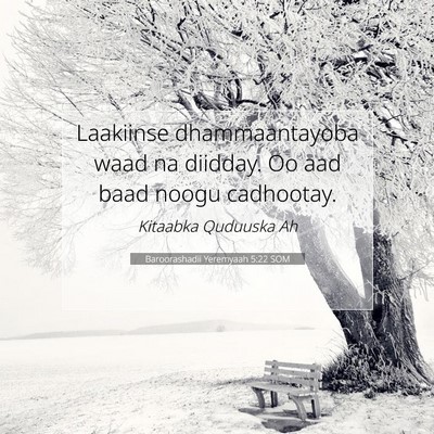 Picture 07 - Baroorashadii Yeremyaah 5:22 SOM - Laakiinse dhammaantayoba waad na diidday. Oo aad - Bible Verse Picture