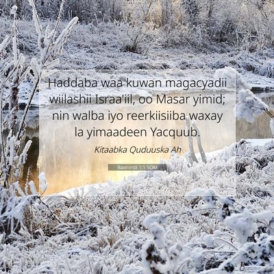 Picture 07 - Baxniintii 1:1 SOM - Haddaba waa kuwan magacyadii wiilashii Israa'iil, - Bible Verse Picture