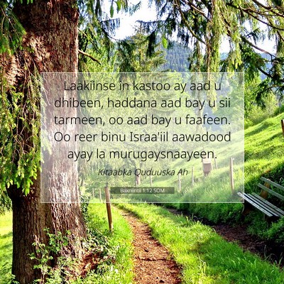 Picture 07 - Baxniintii 1:12 SOM - Laakiinse in kastoo ay aad u dhibeen, haddana aad - Bible Verse Picture