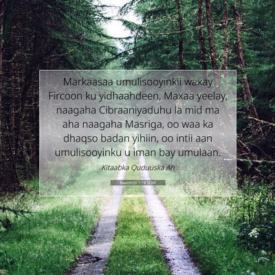 Picture 07 - Baxniintii 1:19 SOM - Markaasaa umulisooyinkii waxay Fircoon ku - Bible Verse Picture