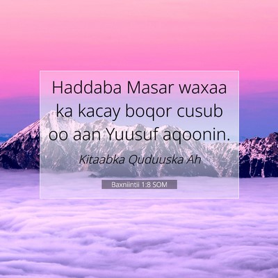 Picture 07 - Baxniintii 1:8 SOM - Haddaba Masar waxaa ka kacay boqor cusub oo aan - Bible Verse Picture