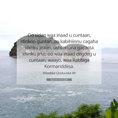 Picture 07 - Baxniintii 12:11 SOM - Oo sidan waa inaad u cuntaan, idinkoo guntan, oo - Bible Verse Picture