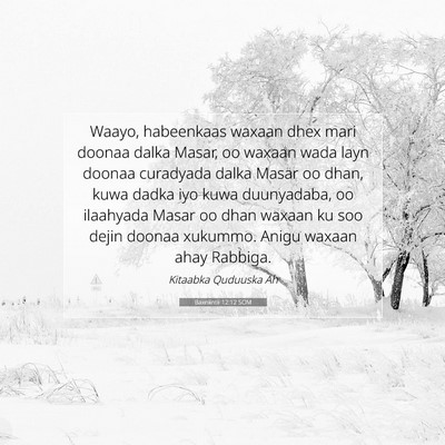 Picture 07 - Baxniintii 12:12 SOM - Waayo, habeenkaas waxaan dhex mari doonaa dalka - Bible Verse Picture