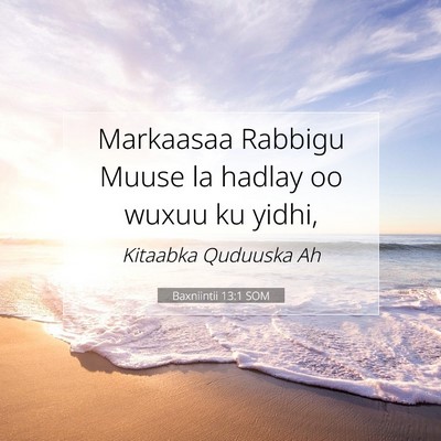 Picture 07 - Baxniintii 13:1 SOM - Markaasaa Rabbigu Muuse la hadlay oo wuxuu ku - Bible Verse Picture