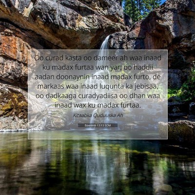 Picture 07 - Baxniintii 13:13 SOM - Oo curad kasta oo dameer ah waa inaad ku madax - Bible Verse Picture