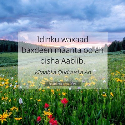 Picture 07 - Baxniintii 13:4 SOM - Idinku waxaad baxdeen maanta oo ah bisha - Bible Verse Picture
