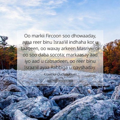 Picture 07 - Baxniintii 14:10 SOM - Oo markii Fircoon soo dhowaaday, ayaa reer binu - Bible Verse Picture