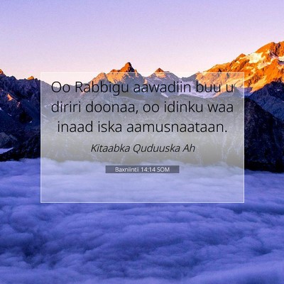 Picture 07 - Baxniintii 14:14 SOM - Oo Rabbigu aawadiin buu u diriri doonaa, oo - Bible Verse Picture
