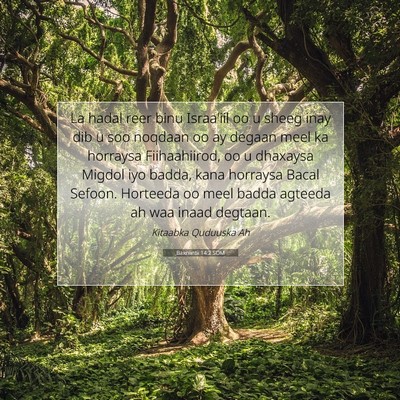 Picture 07 - Baxniintii 14:2 SOM - La hadal reer binu Israa'iil oo u sheeg inay dib - Bible Verse Picture