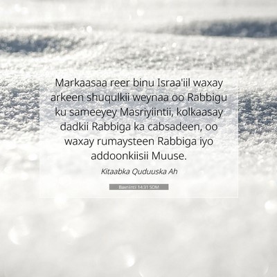 Picture 07 - Baxniintii 14:31 SOM - Markaasaa reer binu Israa'iil waxay arkeen - Bible Verse Picture
