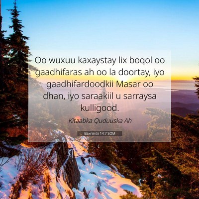 Picture 07 - Baxniintii 14:7 SOM - Oo wuxuu kaxaystay lix boqol oo gaadhifaras ah oo - Bible Verse Picture