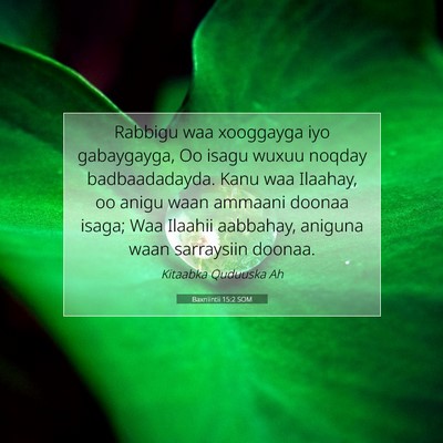 Picture 07 - Baxniintii 15:2 SOM - Rabbigu waa xooggayga iyo gabaygayga, Oo isagu - Bible Verse Picture