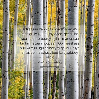 Picture 07 - Baxniintii 15:25 SOM - Kolkaasuu Rabbiga u qayshaday, oo Rabbigu wuxuu - Bible Verse Picture