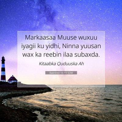 Picture 07 - Baxniintii 16:19 SOM - Markaasaa Muuse wuxuu iyagii ku yidhi, Ninna - Bible Verse Picture