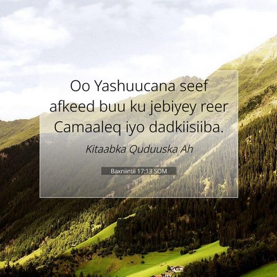 Picture 07 - Baxniintii 17:13 SOM - Oo Yashuucana seef afkeed buu ku jebiyey reer - Bible Verse Picture