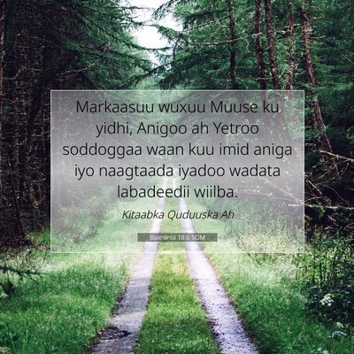 Picture 07 - Baxniintii 18:6 SOM - Markaasuu wuxuu Muuse ku yidhi, Anigoo ah Yetroo - Bible Verse Picture