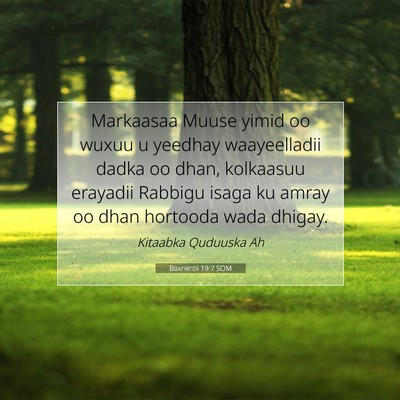 Picture 07 - Baxniintii 19:7 SOM - Markaasaa Muuse yimid oo wuxuu u yeedhay - Bible Verse Picture