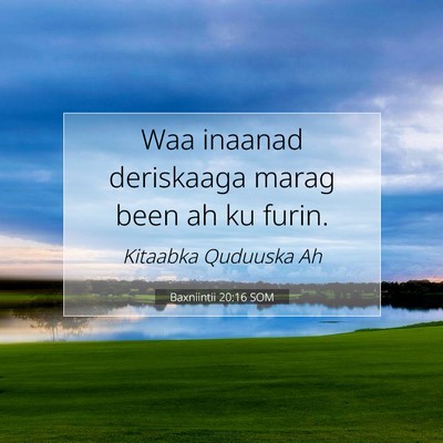 Picture 07 - Baxniintii 20:16 SOM - Waa inaanad deriskaaga marag been ah ku - Bible Verse Picture