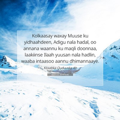 Picture 07 - Baxniintii 20:19 SOM - Kolkaasay waxay Muuse ku yidhaahdeen, Adigu nala - Bible Verse Picture