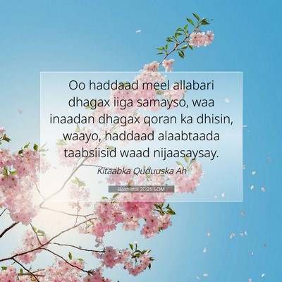 Picture 07 - Baxniintii 20:25 SOM - Oo haddaad meel allabari dhagax iiga samayso, waa - Bible Verse Picture
