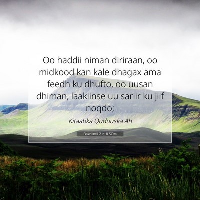 Picture 07 - Baxniintii 21:18 SOM - Oo haddii niman diriraan, oo midkood kan kale - Bible Verse Picture