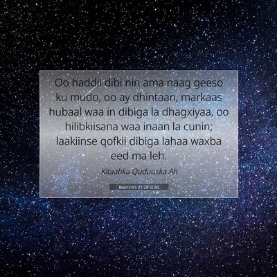 Picture 07 - Baxniintii 21:28 SOM - Oo haddii dibi nin ama naag geeso ku mudo, oo ay - Bible Verse Picture