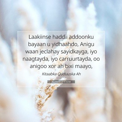 Picture 07 - Baxniintii 21:5 SOM - Laakiinse haddii addoonku bayaan u yidhaahdo, - Bible Verse Picture