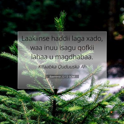 Picture 07 - Baxniintii 22:12 SOM - Laakiinse haddii laga xado, waa inuu isagu qofkii - Bible Verse Picture