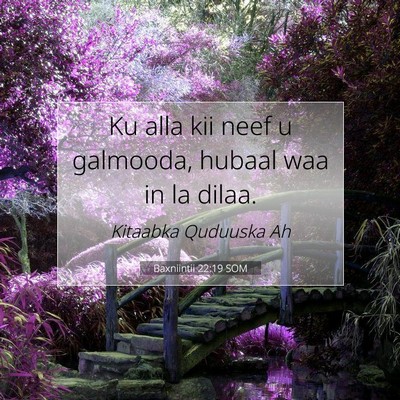 Picture 07 - Baxniintii 22:19 SOM - Ku alla kii neef u galmooda, hubaal waa in la - Bible Verse Picture