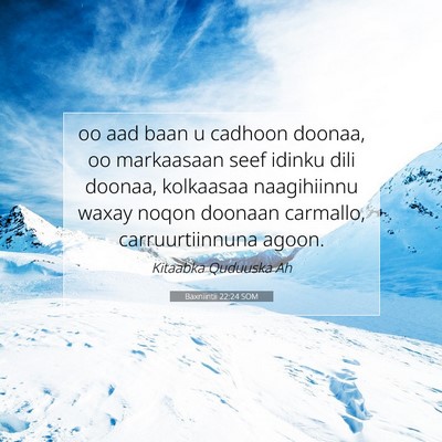 Picture 07 - Baxniintii 22:24 SOM - oo aad baan u cadhoon doonaa, oo markaasaan seef - Bible Verse Picture