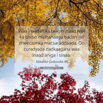 Picture 07 - Baxniintii 22:29 SOM - Waa inaadan ka raagin inaad wax ka bixiso - Bible Verse Picture