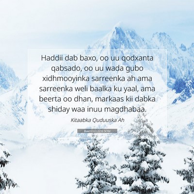 Picture 07 - Baxniintii 22:6 SOM - Haddii dab baxo, oo uu qodxanta qabsado, oo uu - Bible Verse Picture