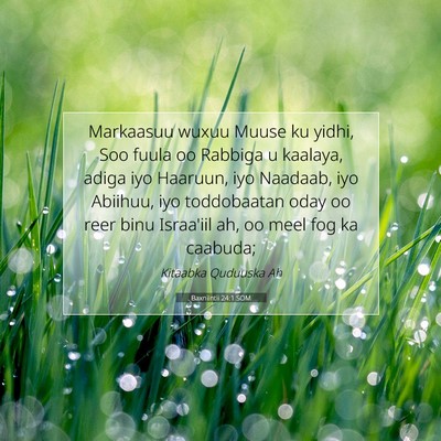 Picture 07 - Baxniintii 24:1 SOM - Markaasuu wuxuu Muuse ku yidhi, Soo fuula oo - Bible Verse Picture