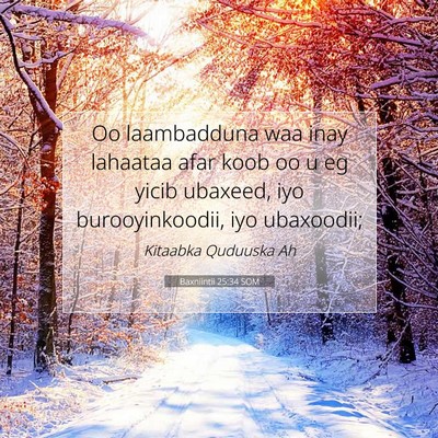 Picture 07 - Baxniintii 25:34 SOM - Oo laambadduna waa inay lahaataa afar koob oo u - Bible Verse Picture
