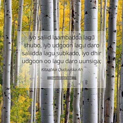 Picture 07 - Baxniintii 25:6 SOM - iyo saliid laambadda lagu shubo, iyo udgoon lagu - Bible Verse Picture