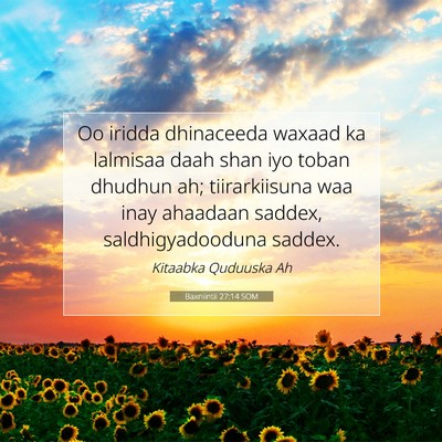 Picture 07 - Baxniintii 27:14 SOM - Oo iridda dhinaceeda waxaad ka lalmisaa daah shan - Bible Verse Picture