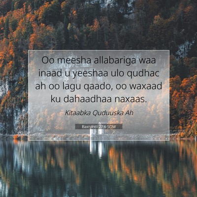 Picture 07 - Baxniintii 27:6 SOM - Oo meesha allabariga waa inaad u yeeshaa ulo - Bible Verse Picture